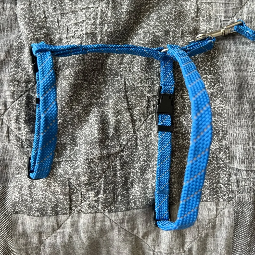 Cat Harness & Leash